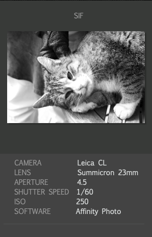 Zur Galerie Leica CL Monochrom